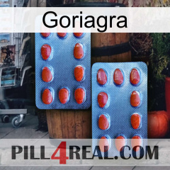 Goriagra 05